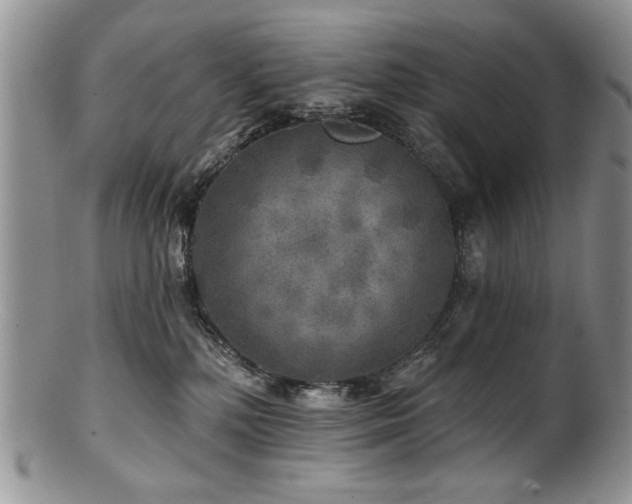 X0000100840232200806201158