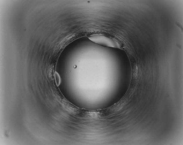 X0000100840233200806201158