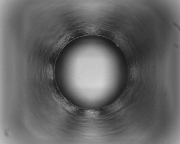 X0000100840234200806201158