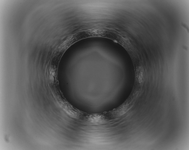 X0000100840235200806201158