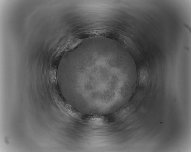 X0000100840236200806201158