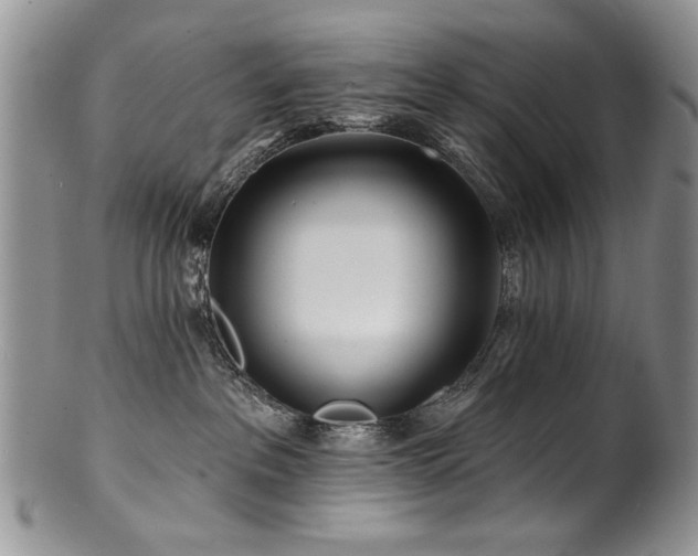 X0000100840237200806201158