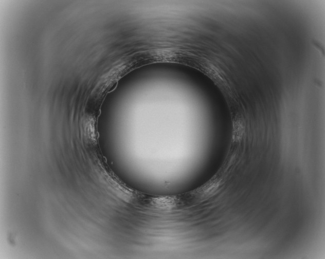 X0000100840238200806201158