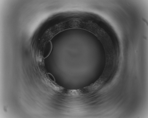 X0000100840239200806201158