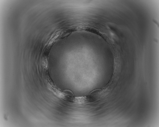 X0000100840240200806201158