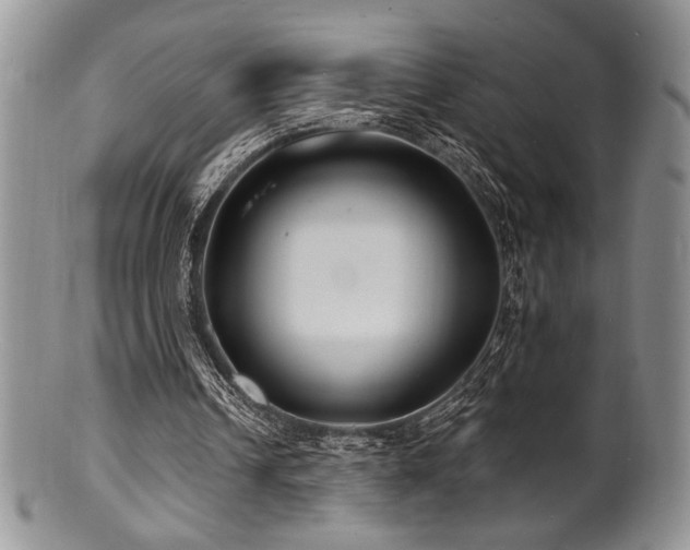 X0000100840242200806201157