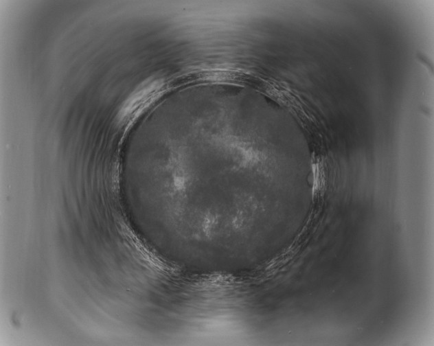 X0000100840243200806201157