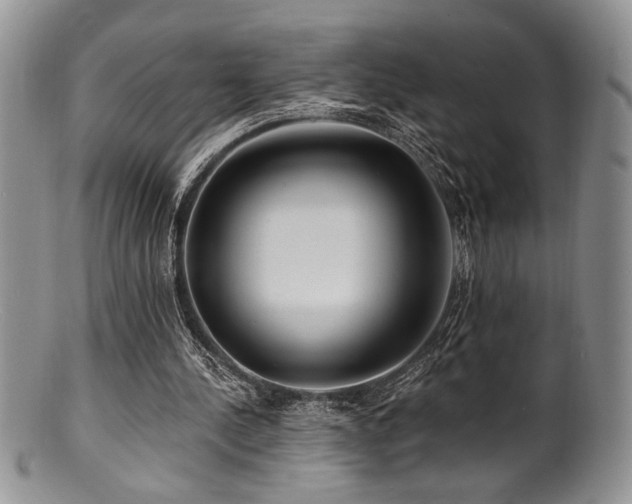 X0000100840244200806201157