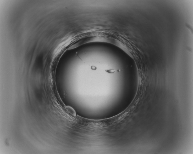 X0000100840245200806201157