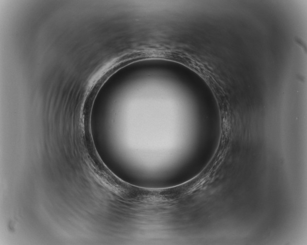 X0000100840246200806201157