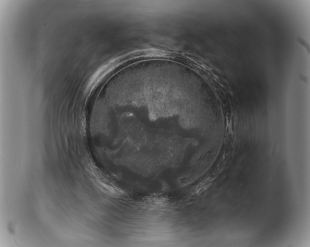 X0000100840247200806201157