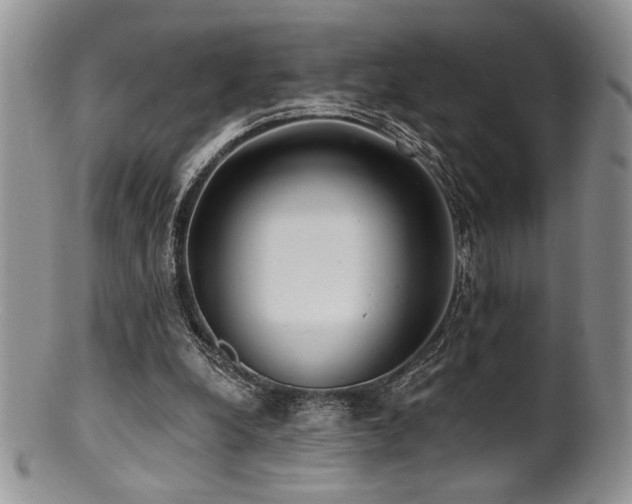 X0000100840248200806201157