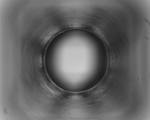 X0000100840251200806201157