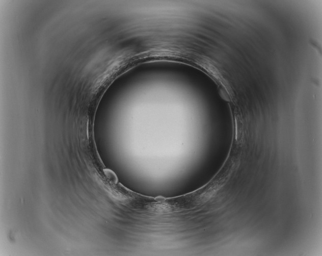 X0000100840253200806201157