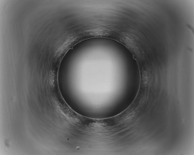 X0000100840255200806201157