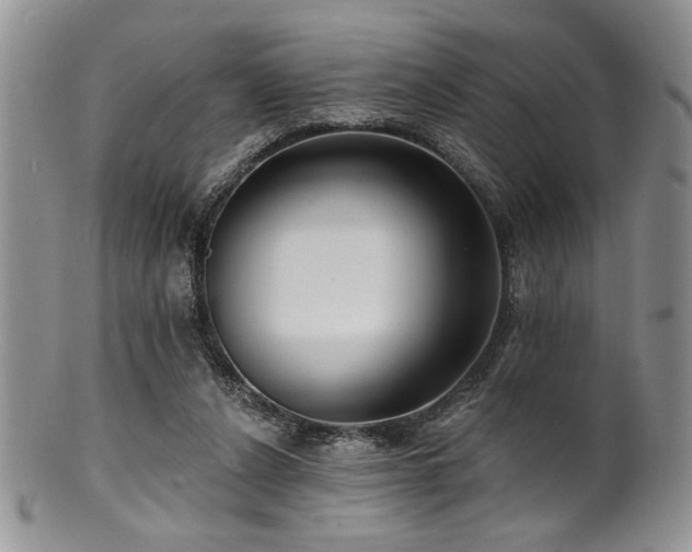 X0000100840256200806201157