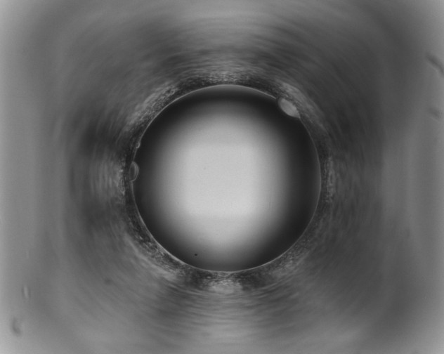 X0000100840258200806201157