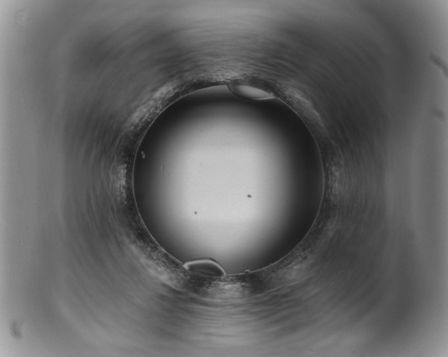 X0000100840260200806201157