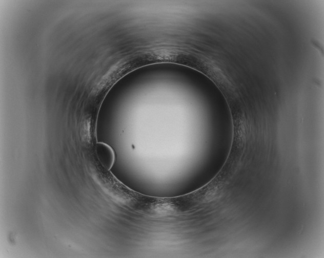 X0000100840262200806201157