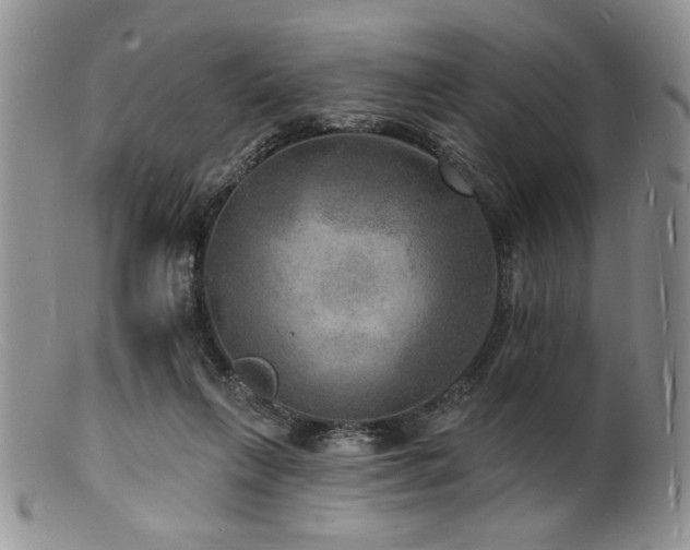 X0000100840263200806201157