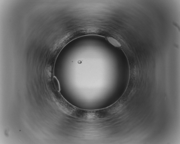 X0000100840264200806201157