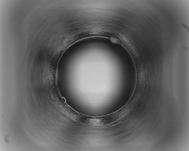 X0000100840265200806201158