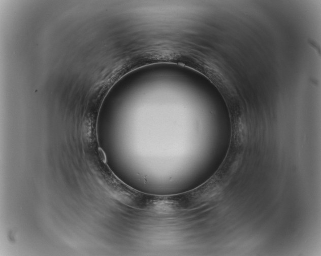 X0000100840268200806201158