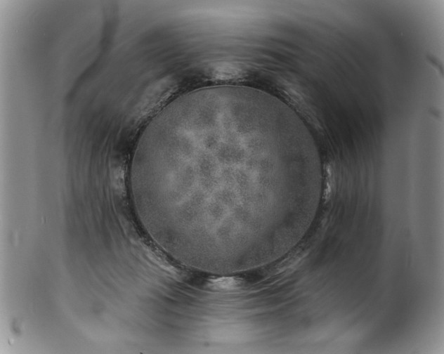 X0000100840269200806201158