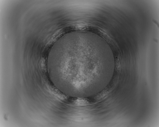 X0000100840270200806201158