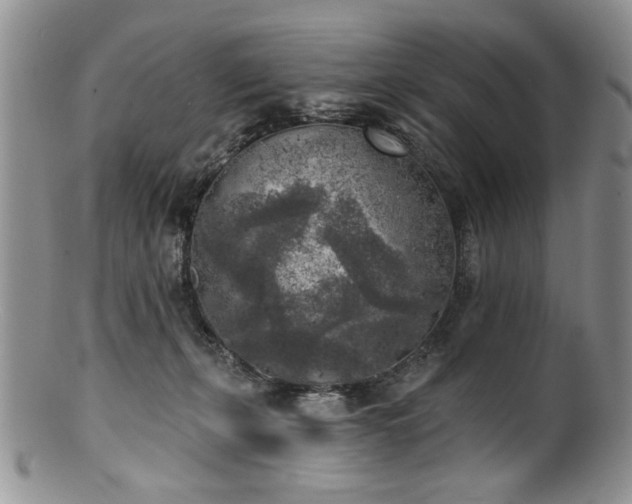 X0000100840271200806201158