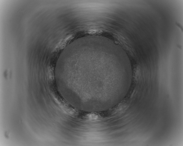 X0000100840272200806201158