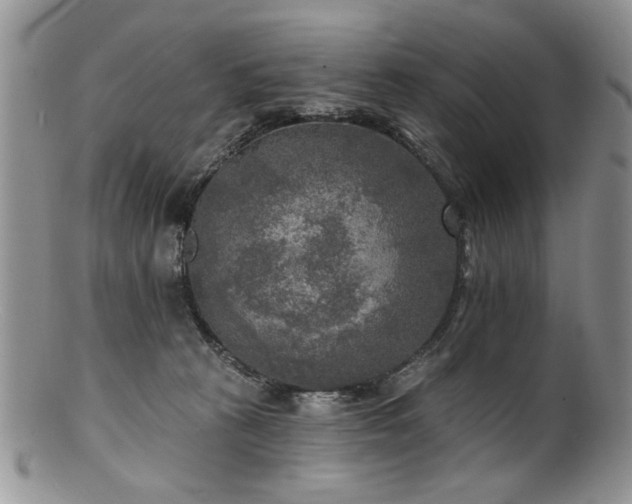 X0000100840273200806201158