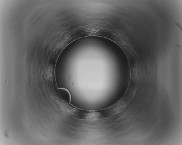 X0000100840274200806201158