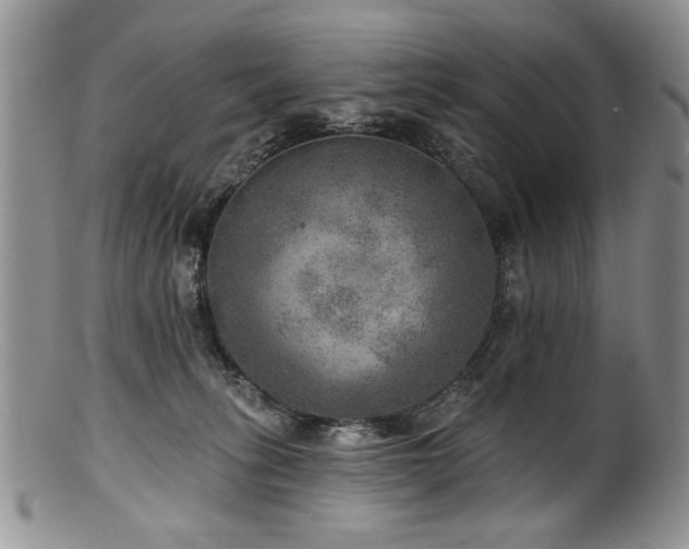 X0000100840275200806201158