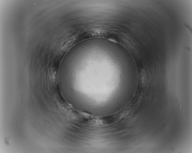 X0000100840276200806201158