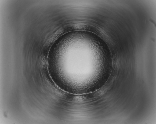 X0000100840277200806201158