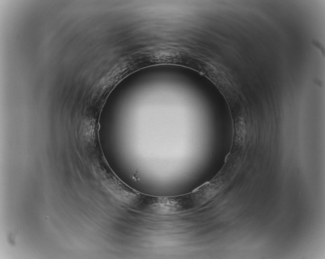 X0000100840278200806201158