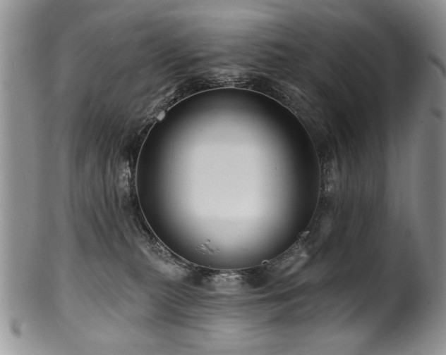 X0000100840279200806201158