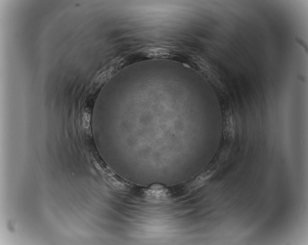 X0000100840281200806201158