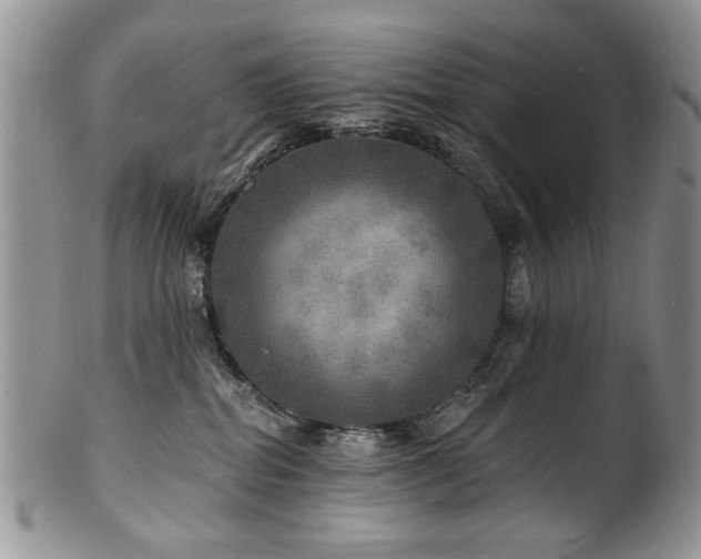 X0000100840282200806201158