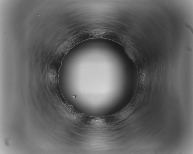 X0000100840283200806201158