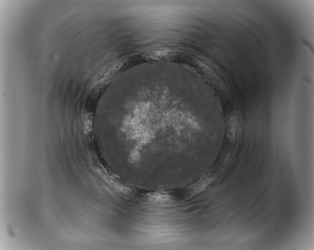 X0000100840284200806201158