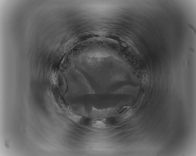 X0000100840285200806201158