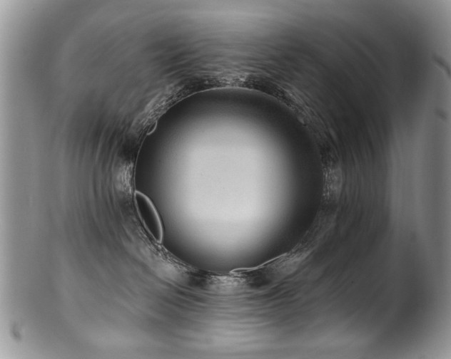 X0000100840286200806201158