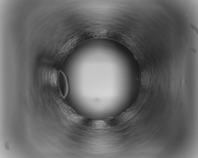 X0000100840287200806201158