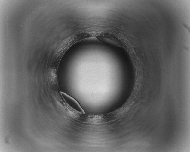 X0000100840288200806201158