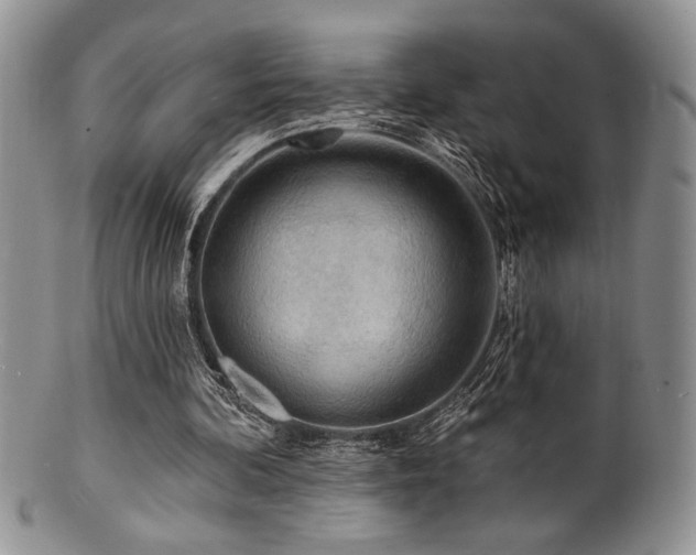 X0000100840292200806201157