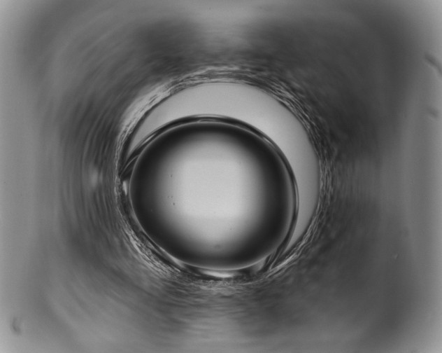 X0000100840293200806201157