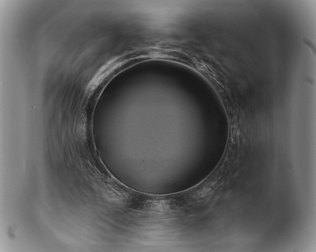 X0000100840295200806201157