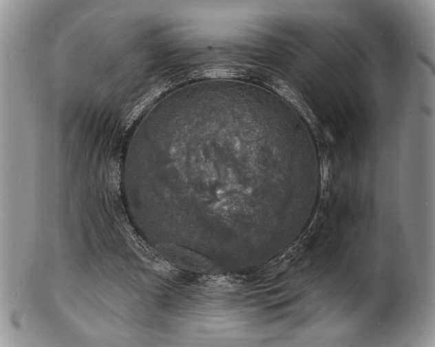 X0000100840297200806201157